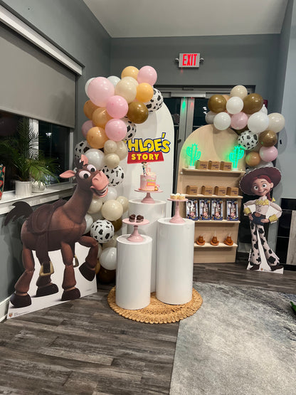 Toy Story Theme- Kids Party Bundle